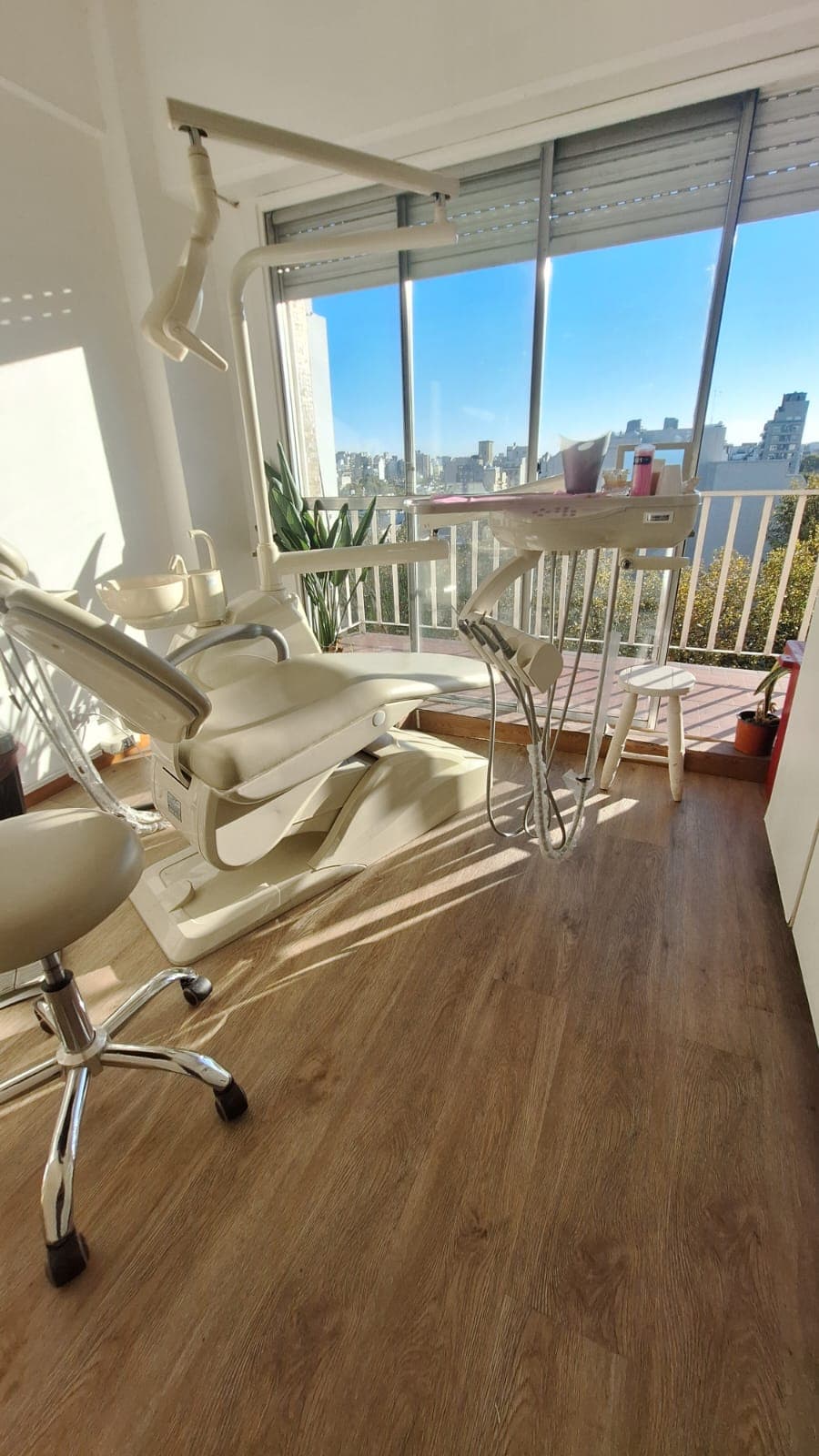 Consultorio luminoso con sillón crema, plantas y ventanales de piso a techo.
